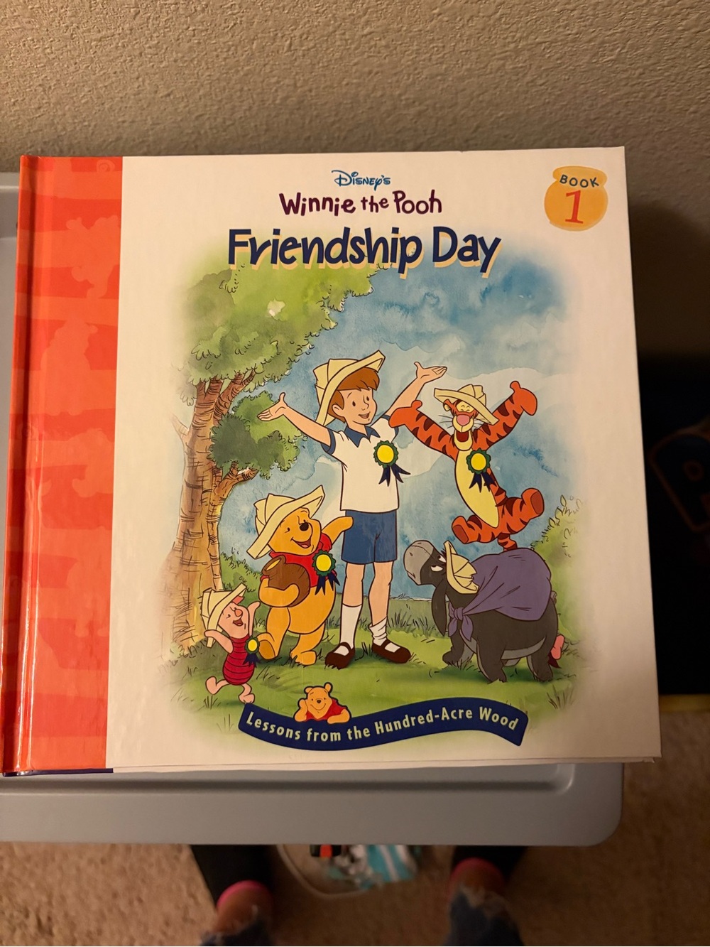 Disney Winnie the Pooh Lessons from the Hundred Acre Wood